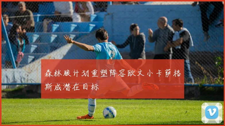 森林狼计划重塑阵容欧文小卡萨格斯成潜在目标